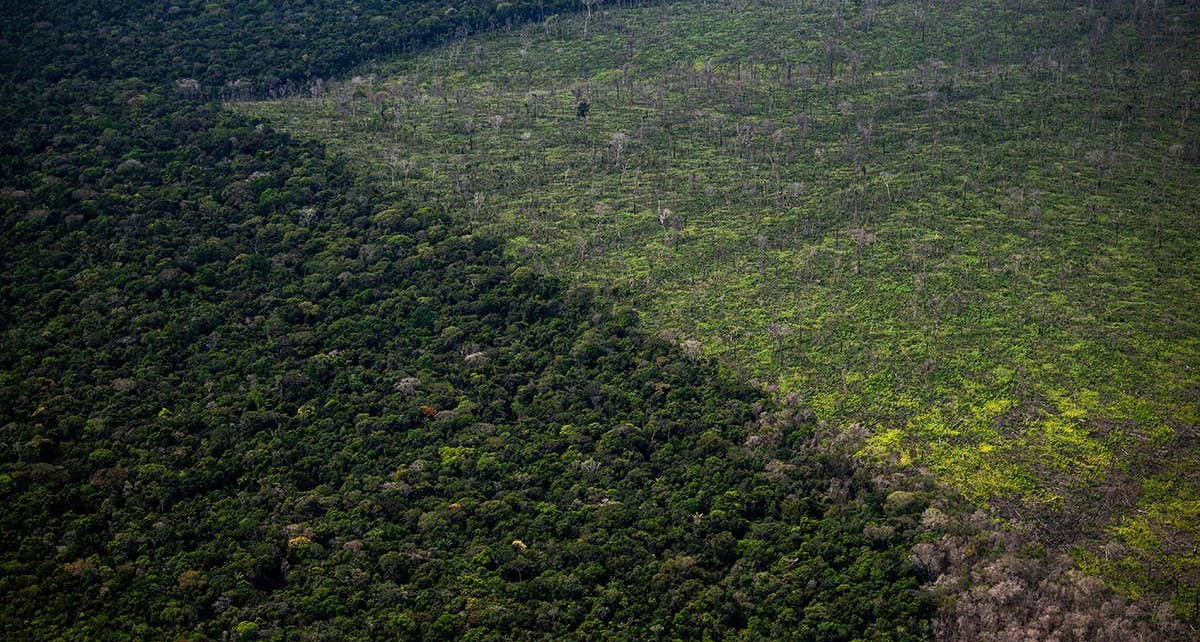 Amazon deforestation may shrink Himalayan snow and Antarctic ice