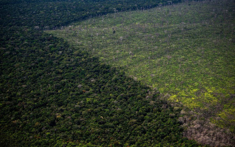 Amazon deforestation may shrink Himalayan snow and Antarctic ice