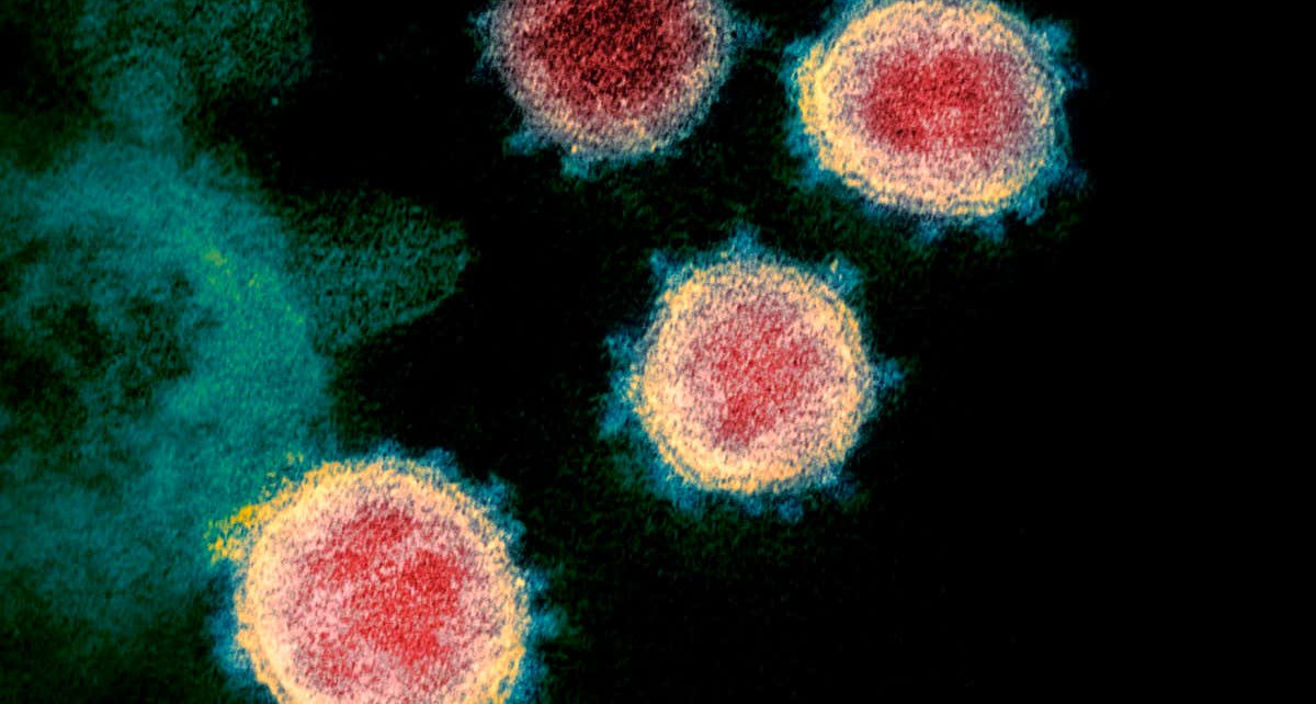 Genetic tracking scheme for cold and flu viruses could warn of dangerous outbreaks