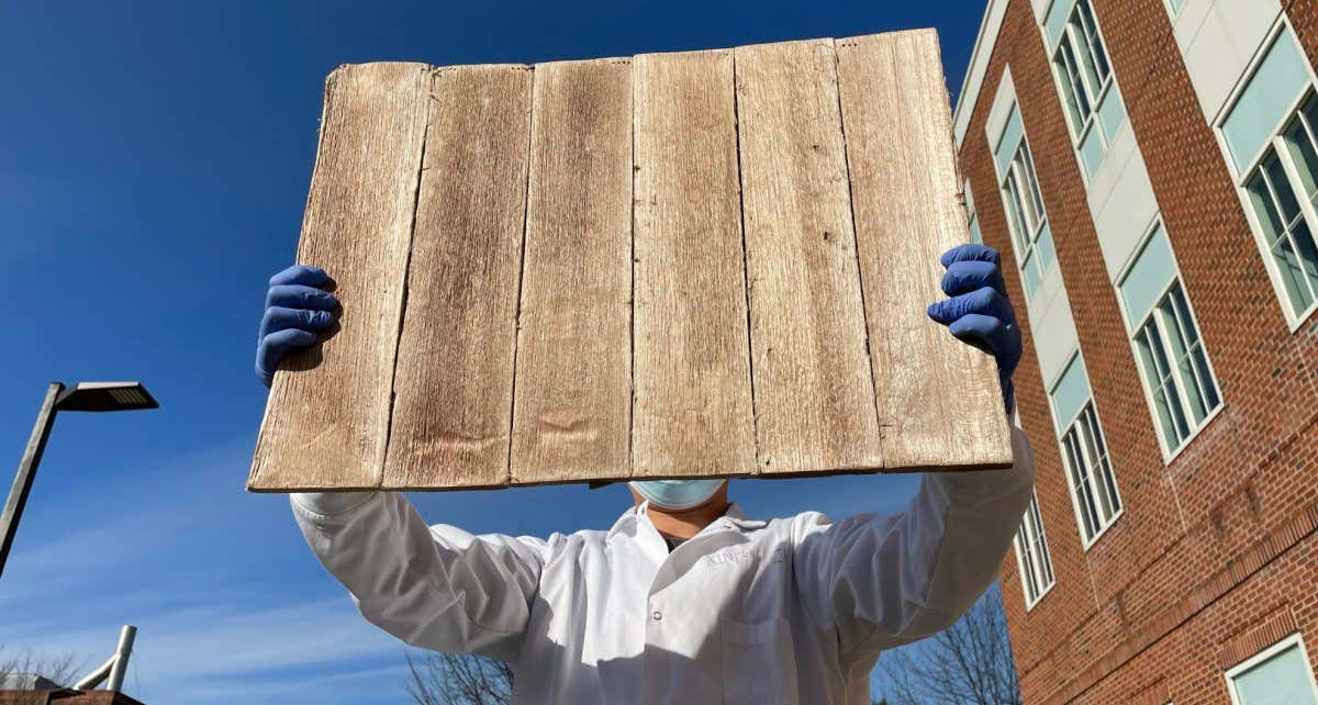High-tech wood filled with air cavities could insulate your home