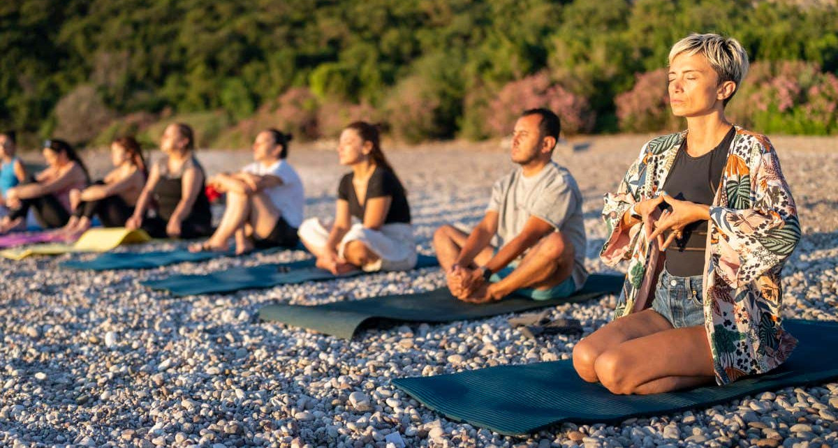 Why We Meditate review: A convincing argument for regular meditation