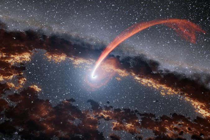Supermassive black hole snacks on the same star once every few years
