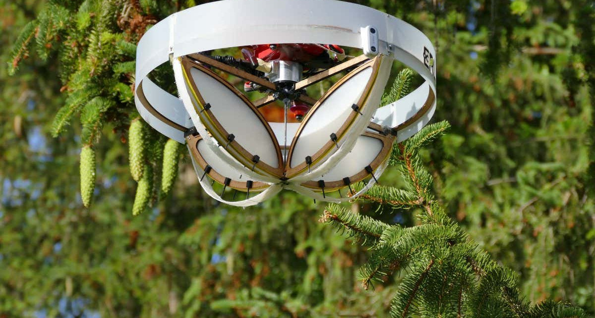 Drone with sticky patches studies biodiversity by bumping into trees