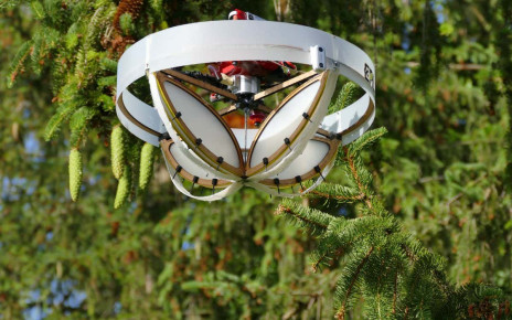 Drone with sticky patches studies biodiversity by bumping into trees