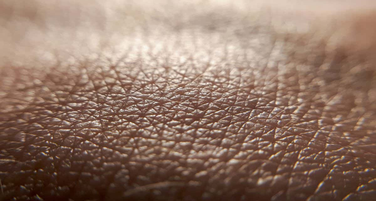 Artificial skin can detect nearby objects without even touching them