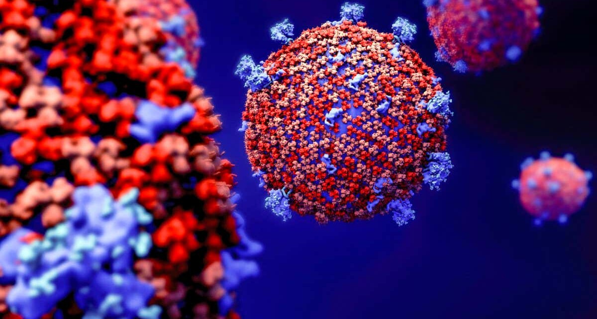 Millions of coronavirus mutations offer a new insight into evolution