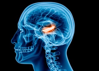 Mild brain damage may affect memory more than severe injuries