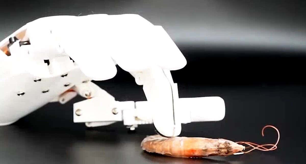 Robotic hand pokes food and water to tell if they have mercury in them