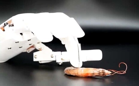 Robotic hand pokes food and water to tell if they have mercury in them