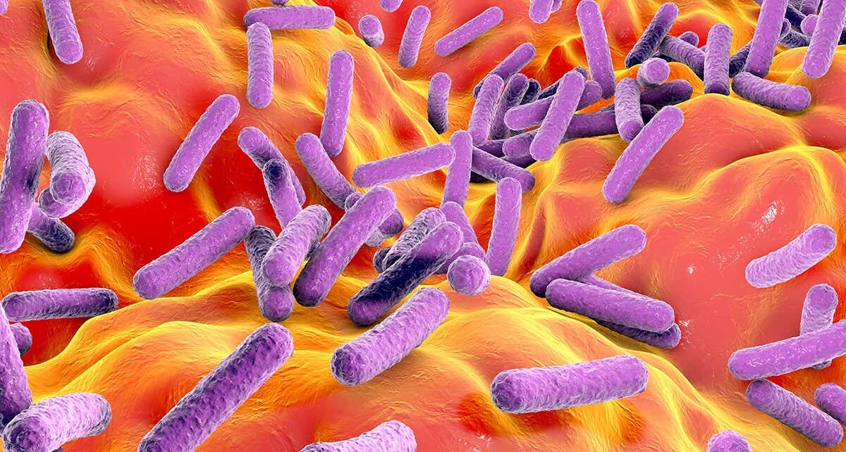 Chronic fatigue syndrome linked to lower levels of some gut bacteria