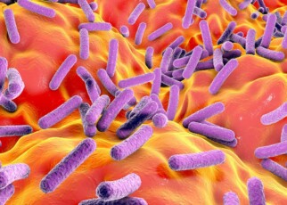 Chronic fatigue syndrome linked to lower levels of some gut bacteria