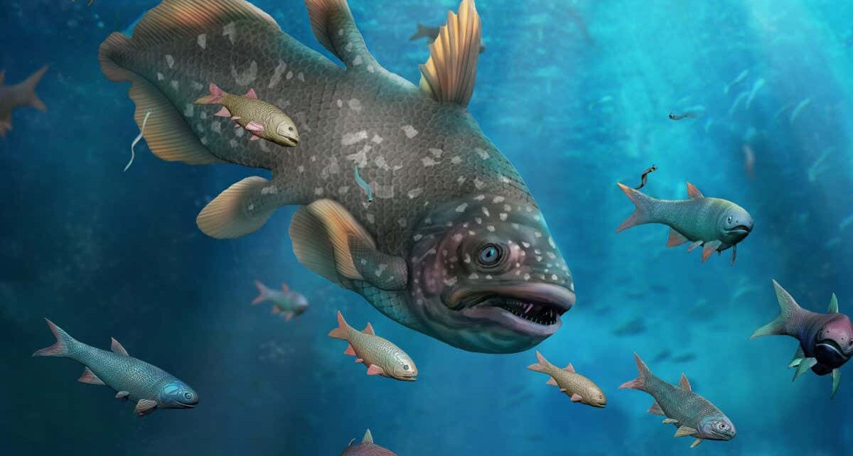 Sea life recovered from Permian-Triassic mass extinction faster than we thought