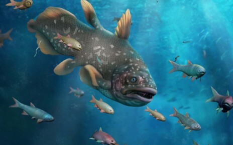 Sea life recovered from Permian-Triassic mass extinction faster than we thought