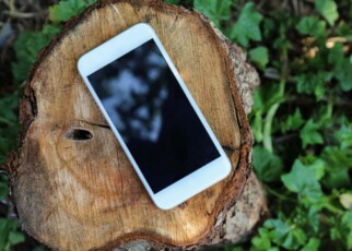 Wood coated in nanocrystals can block electromagnetic signals