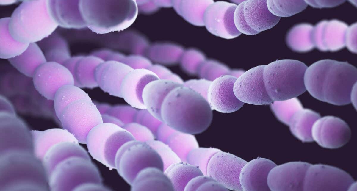 Covid-19 pandemic linked to antibiotic resistance in some bacteria
