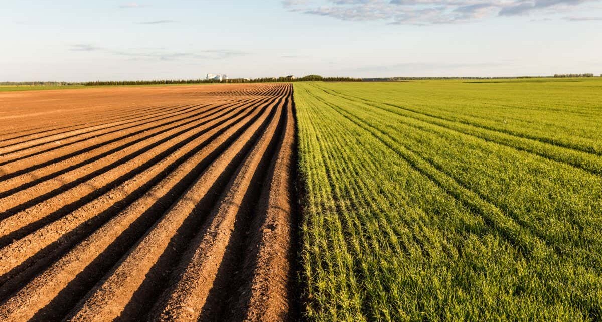Furrows row pattern in a plowed field prepared for planting crops in spring. Growing wheat crop in springtime. Horizontal view in perspective with cloud and blue sky background.; Shutterstock ID 423151204; purchase_order: -; job: -; client: -; other: -
