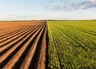 Furrows row pattern in a plowed field prepared for planting crops in spring. Growing wheat crop in springtime. Horizontal view in perspective with cloud and blue sky background.; Shutterstock ID 423151204; purchase_order: -; job: -; client: -; other: -