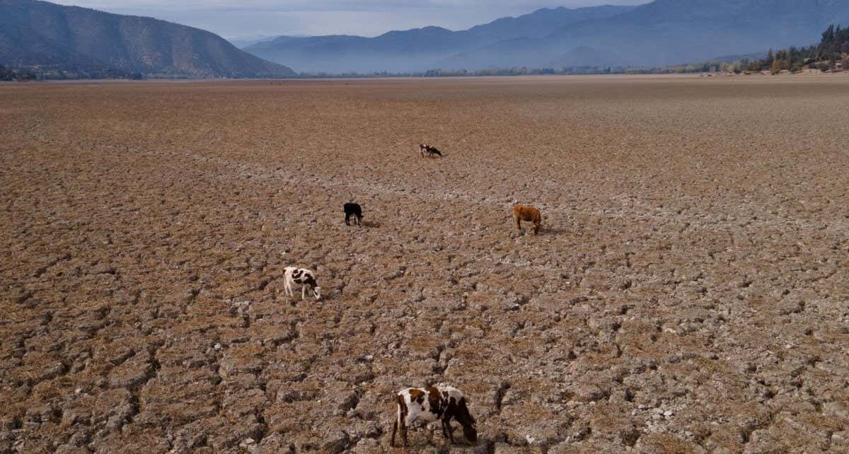 Rare triple-dip La Niña is mostly to blame for South America's drought