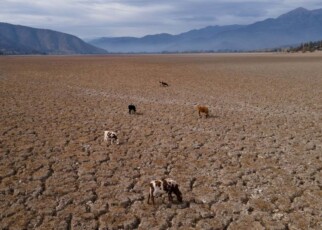 Rare triple-dip La Niña is mostly to blame for South America's drought