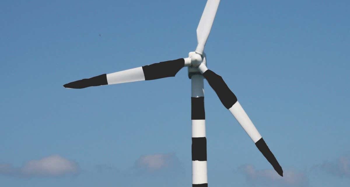 Stripy wind turbines could prevent fatal seabird collisions