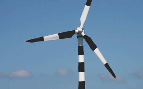 Stripy wind turbines could prevent fatal seabird collisions