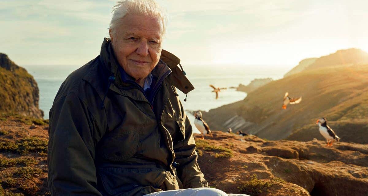 Wild Isles review: David Attenborough turns focus to UK and Ireland