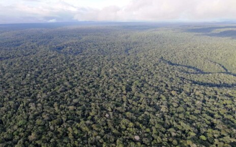 Deforestation is reducing rainfall all over the tropics