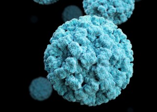 Norovirus outbreak: Why is the number of cases in England so high?