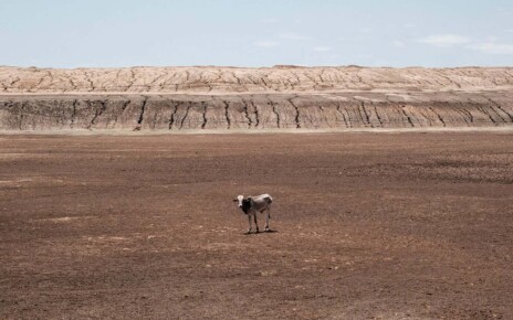 Horn of Africa drought is set to become the region’s worst on record