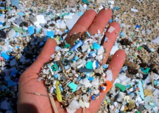 Scientists warn of 'alarming' rise in ocean microplastic pollution