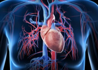 Inflammation’s role in heart disease is being overlooked