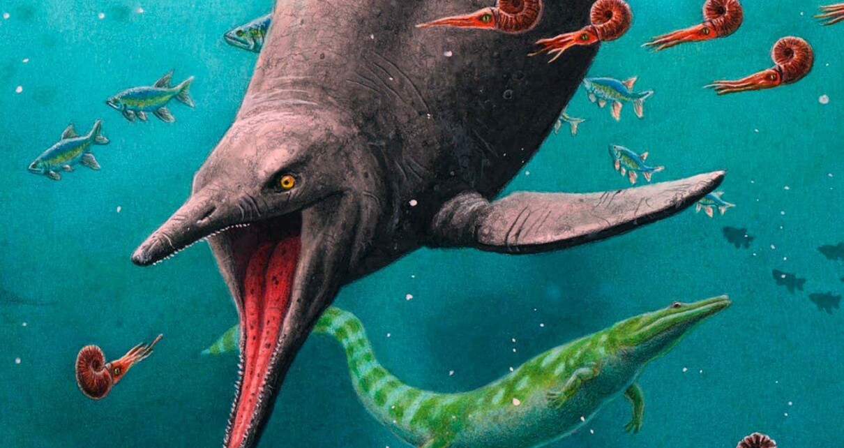Oldest ichthyosaur fossil hints they evolved before mass extinction