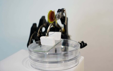 Venus flytrap cyborg snaps shut with commands from a smartphone
