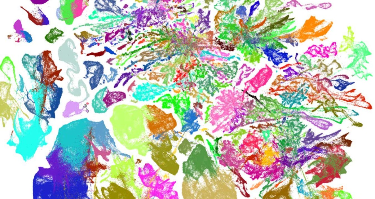 Most detailed map of mouse brain includes 5200 different types of cell