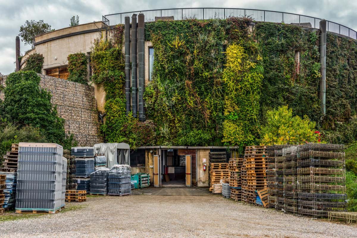 View of the cellar of the "Salcheto" winery in Montepulciano, Siena, Italy. The vertical gardens and a recovery system for cold natural ventilation insulate the cellar from the summer climate without resorting to air conditioning systems.