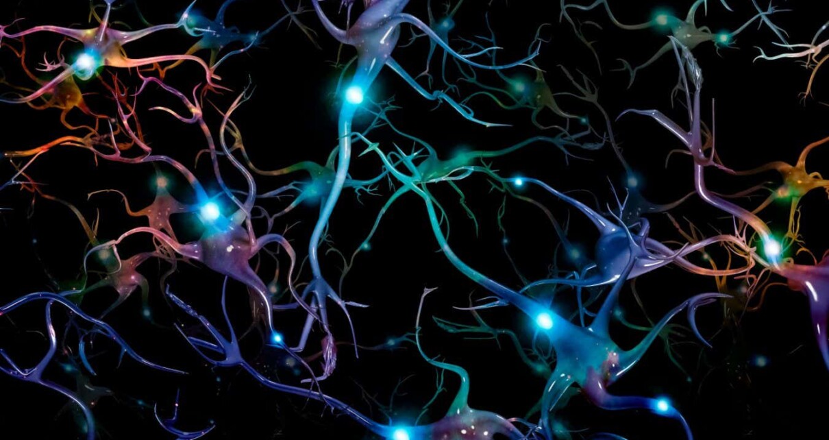 Neural engineering rewires the brain using light to change behaviour