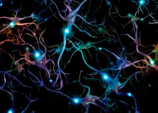 Neural engineering rewires the brain using light to change behaviour