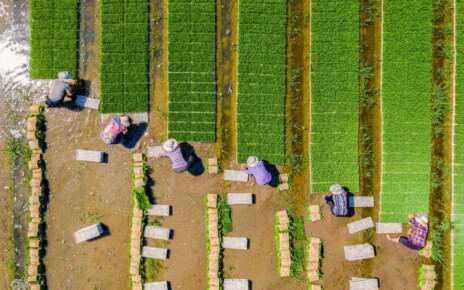 Farmland could feed 20 billion people but it might wreck the planet