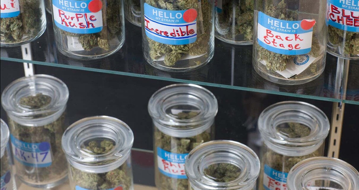 Legal marijuana in the US may be less potent than packaging claims
