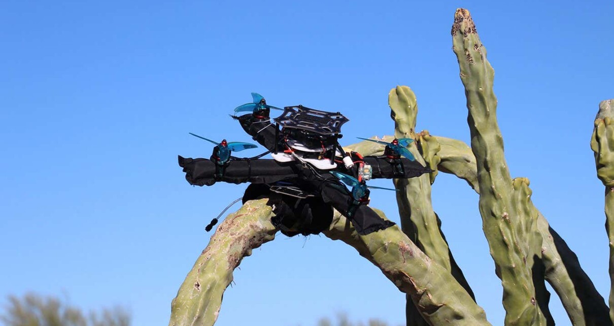 This drone can perch on nearly anything