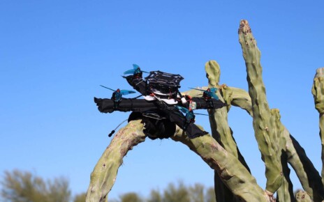 This drone can perch on nearly anything