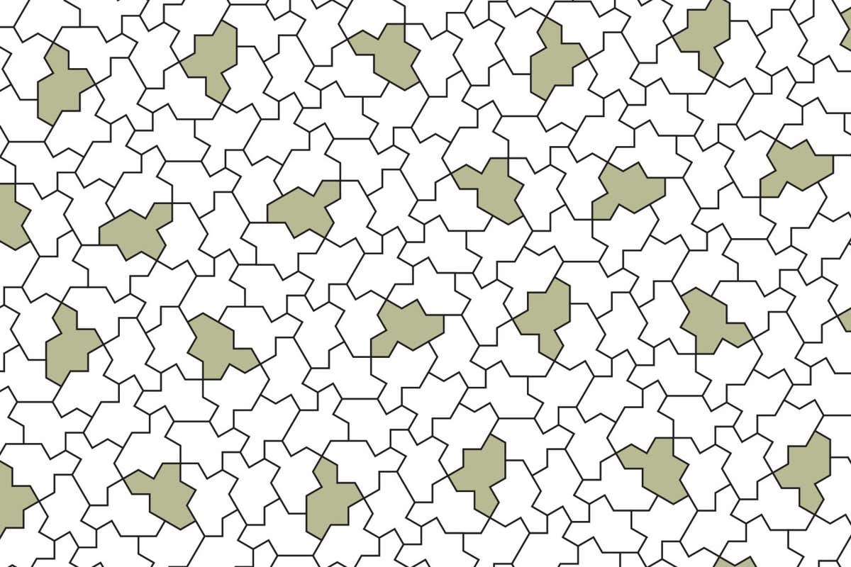 A patch of spectre tiles. Some tiles are considered odd (shaded) and even (not shaded) based on their orientation