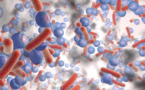 Curbing fatty acid production in bacteria lowers antibiotic resistance