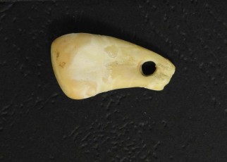 DNA from 25,000-year-old tooth pendant reveals woman who wore it