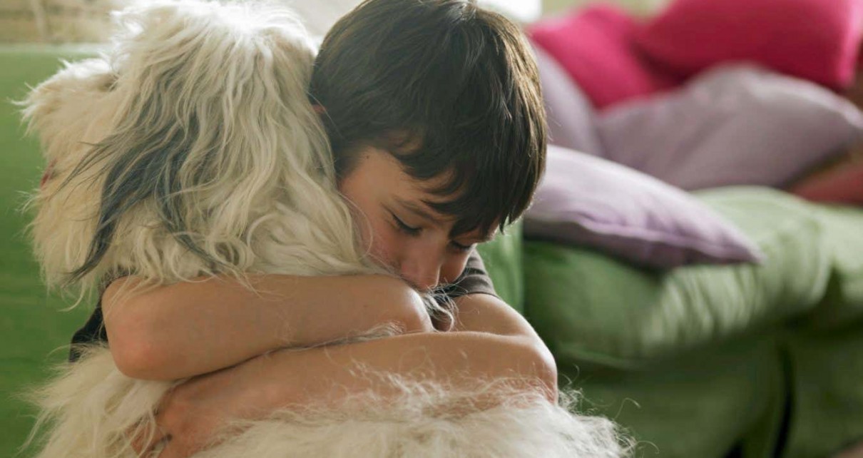 Young children value the lives of animals more than adults do
