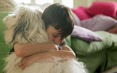 Young children value the lives of animals more than adults do