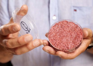 Lab-grown meat could be 25 times worse for the climate than beef