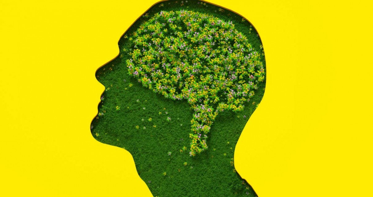 Flowers petals and leaves forming brain shape inside male's head silhouette made out of grass on yellow background.