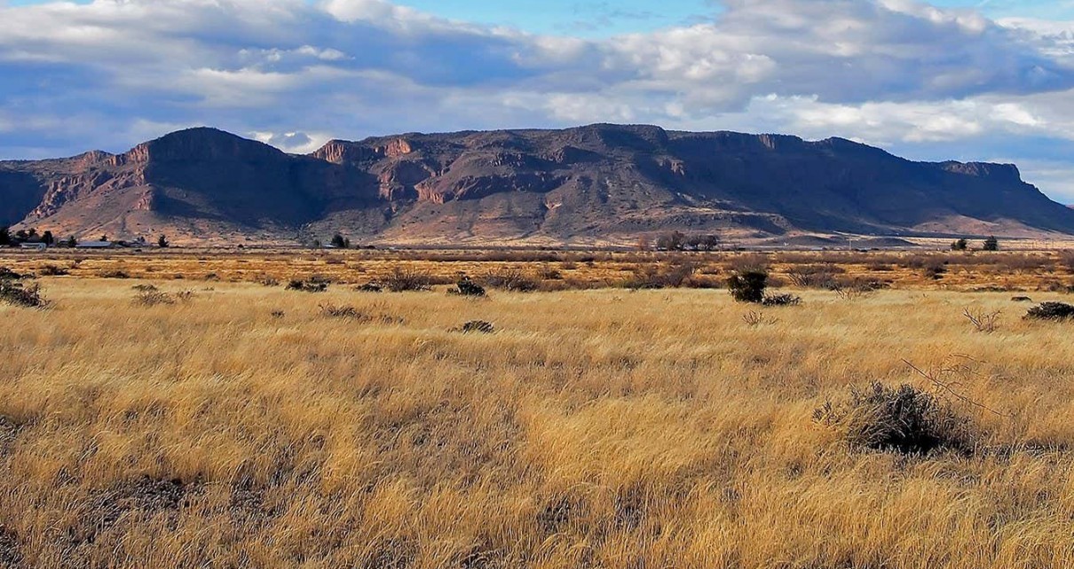 US desert grassland collapse is linked to changes in the Pacific Ocean
