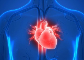 CRISPR-edited cells could help people survive chronic heart failure